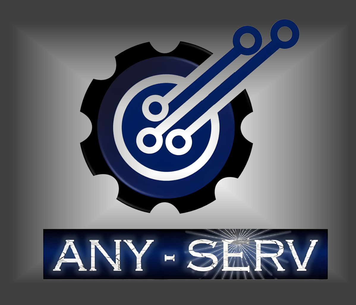 Any-Serv SpA