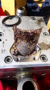 20190506_145417 - copia