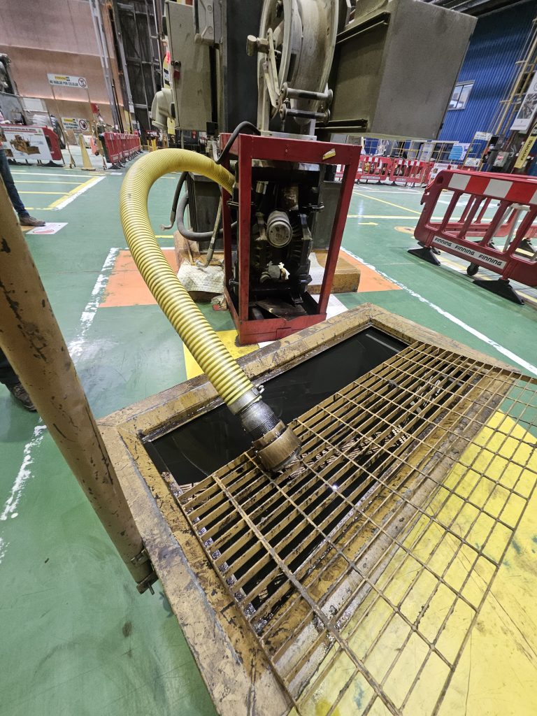 20250203_150956 - copia - copia