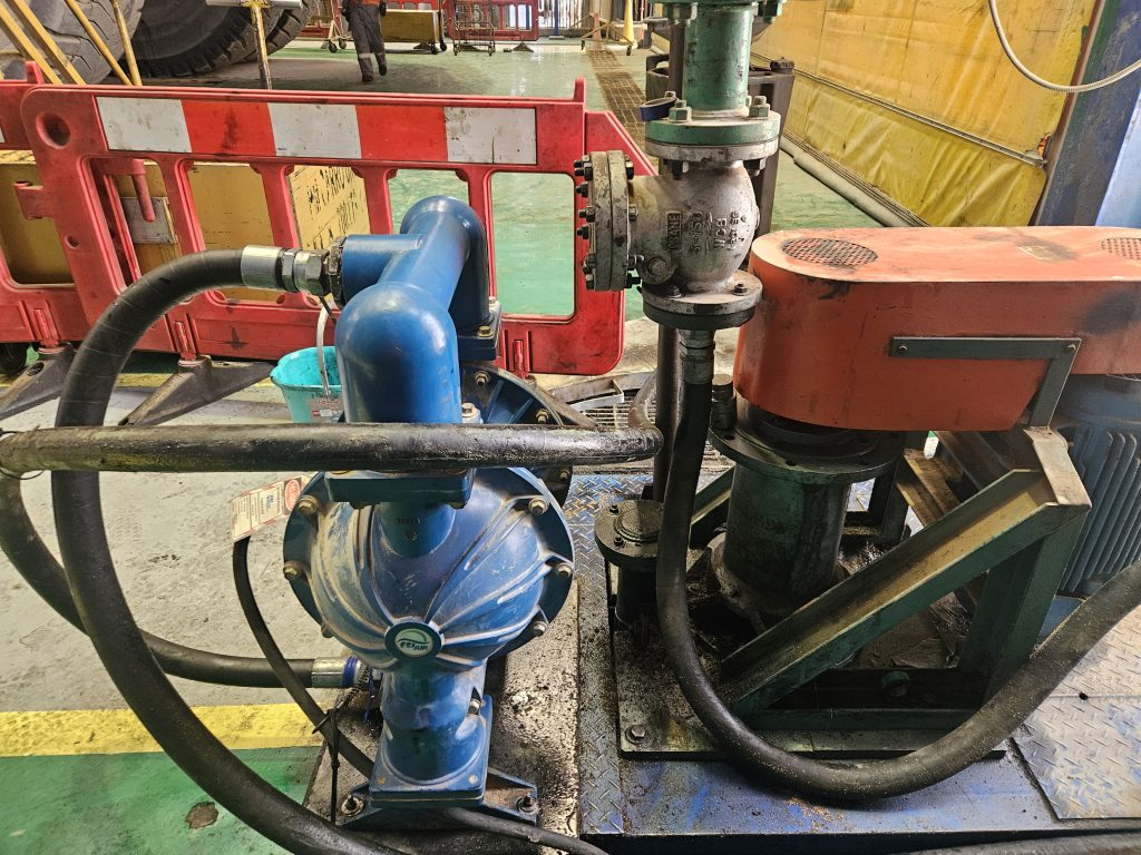 20250310_115843 - copia