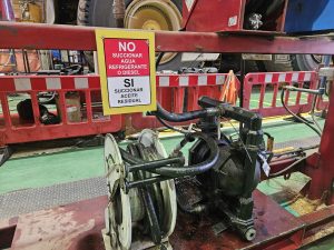 20250310_133026 - copia