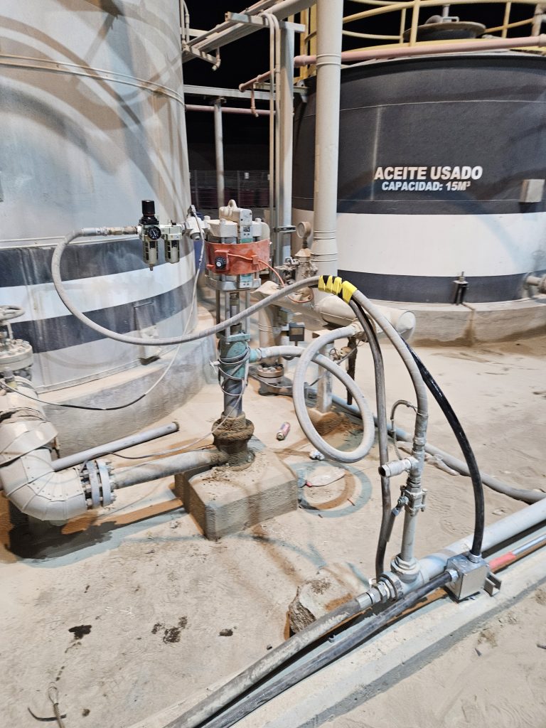 20250524_194817 - copia